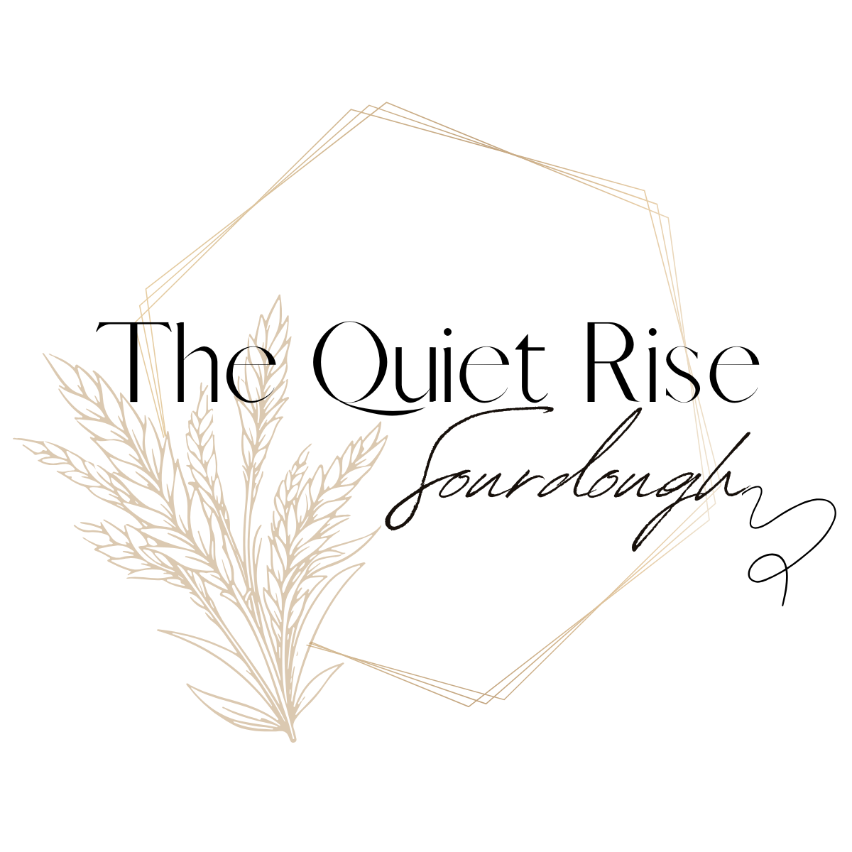 The-Quiet-Rise-Logo2